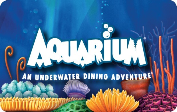 Maximizing Your Local Aquarium Membership Gift Card